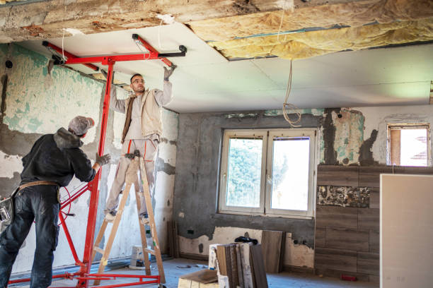 Best Insulation Maintenance and Repair in Rothschild, WI